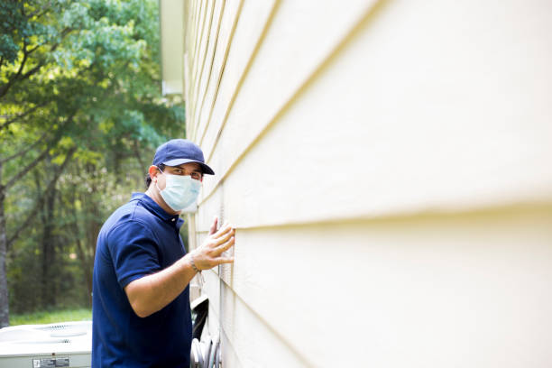 Custom Trim and Detailing for Siding in Spring Valley, IL